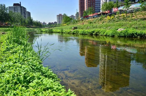 城市水環境治理與污染控制策略