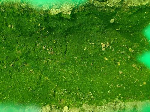 廢鉛膏和廢酸液 土壤污染 廢鉛膏和廢酸液 土壤污染