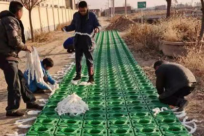 簾式傘狀仿生水草 簾式傘狀仿生水草