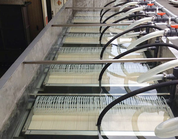 生物膜污水凈化 生物膜污水凈化