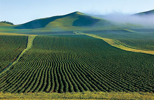 1616035953592066.png 土壤1.png