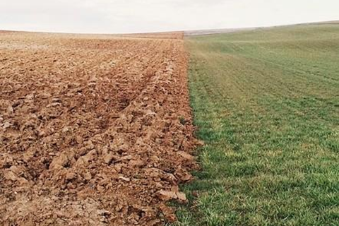 河北華清 河北華清