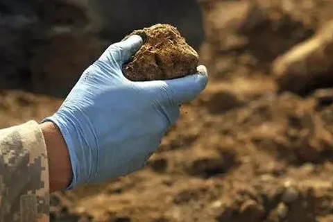 <a href=http://m.leinasen.cc/turangjiance.html>土壤檢測</a>.jpg 土壤檢測.jpg